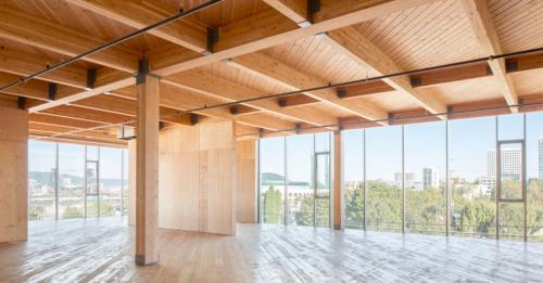 PROPIEDADES-DE-LA-MADERA-1