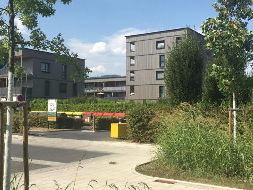 VISITA-DE-REININGHAUS-Q7-5
